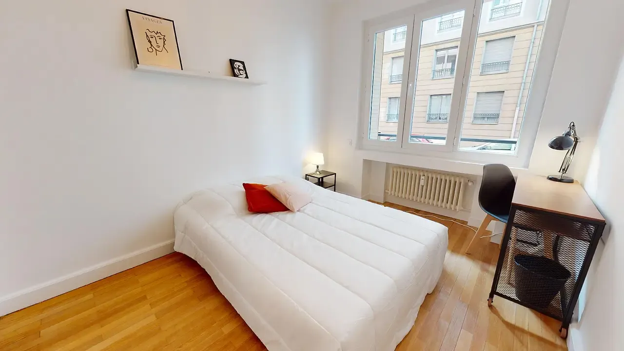 Private room in Rue Barrier, Lyon (1623446) ROOM 2