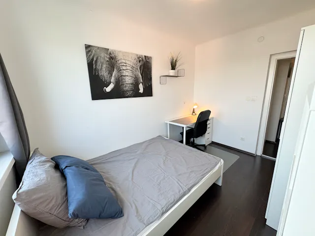 Private room in Forsthausgasse, Vienna (1623453) room image 9