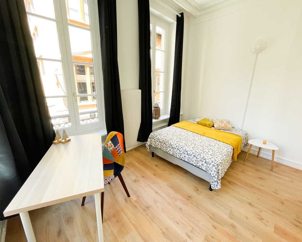 Private room for rent on Rue de Brest, Lyon – pohled 4