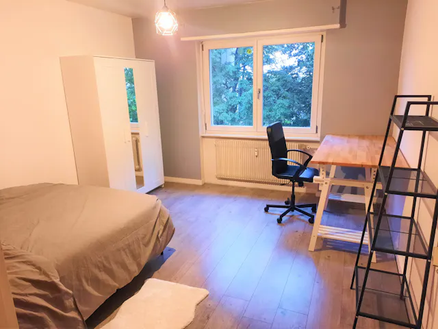 Private room in Rue Franklin, Mulhouse (1623616) room image 4