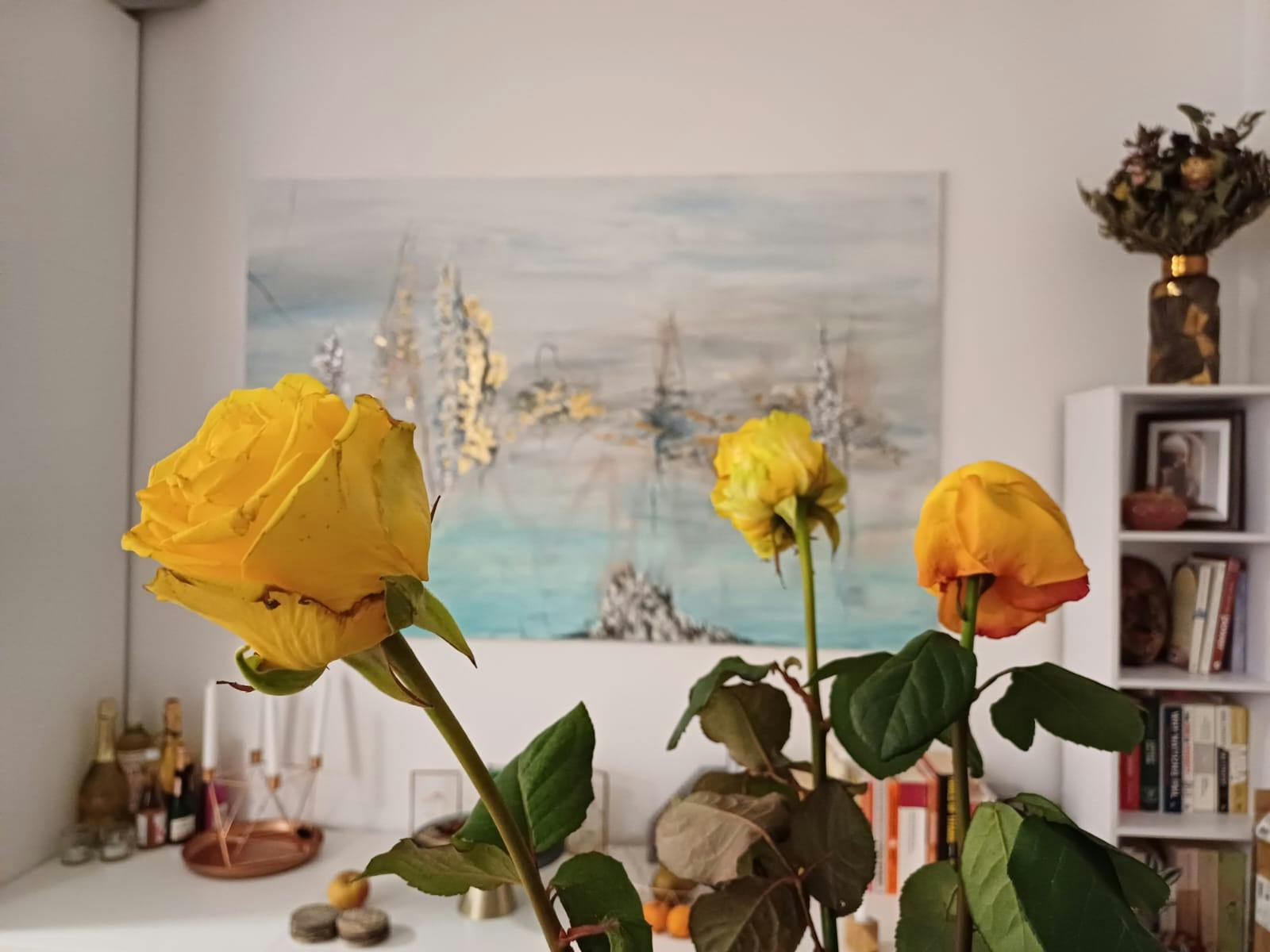 Speckbachergasse, Vienna preview