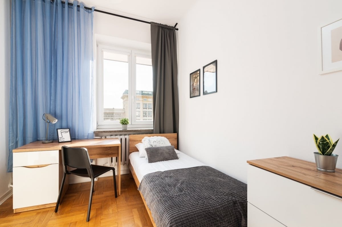 Wilcza, Warsaw preview