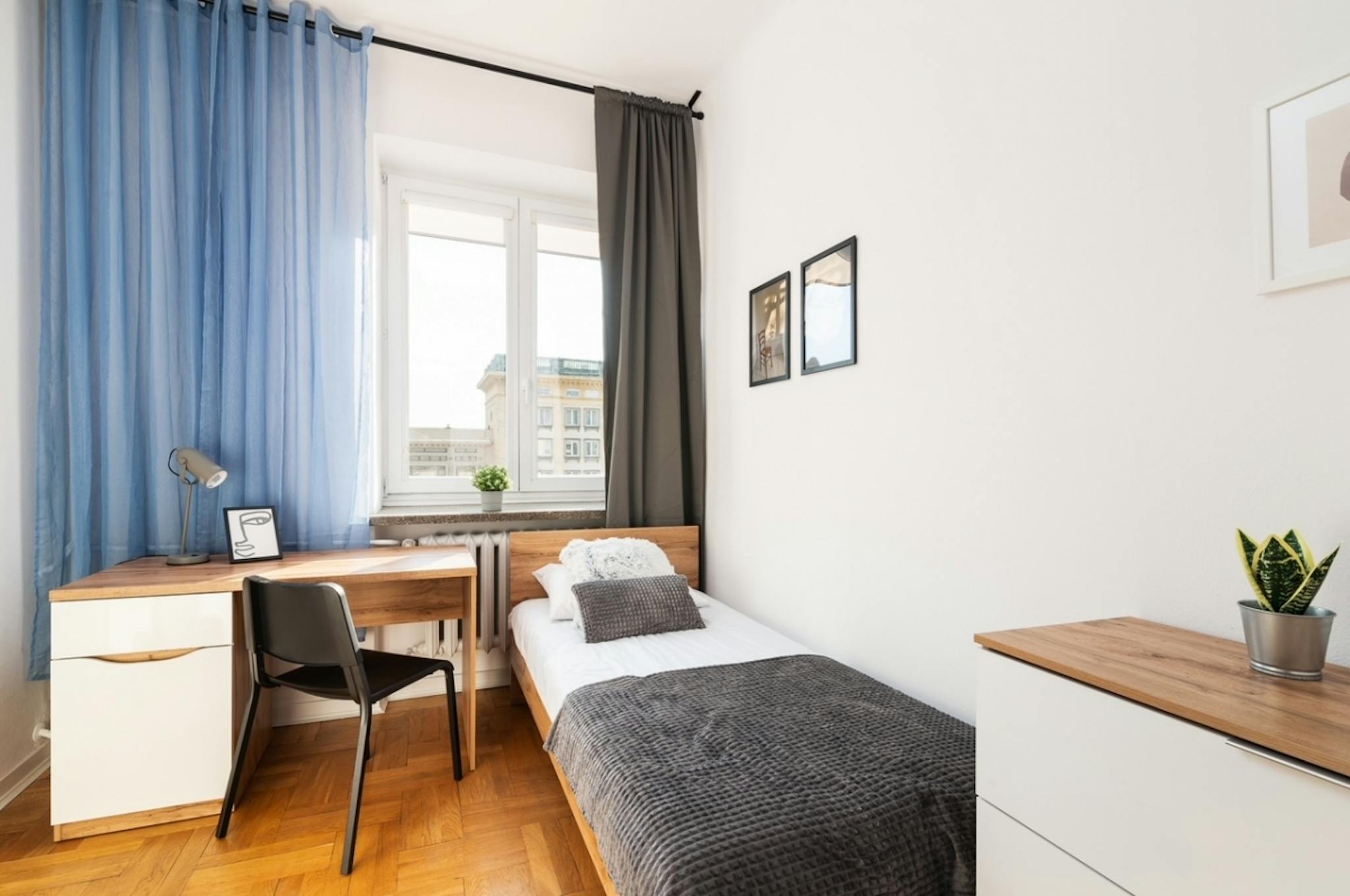 Wilcza, Warsaw preview