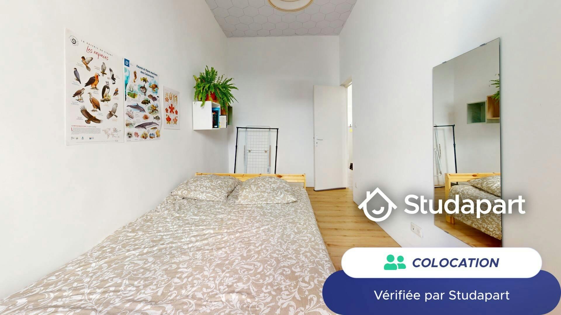 Private room for rent on Rue Tapis Vert, Marseille - Plus