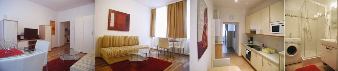 Apartment Vienna, 1 bed — photo 1