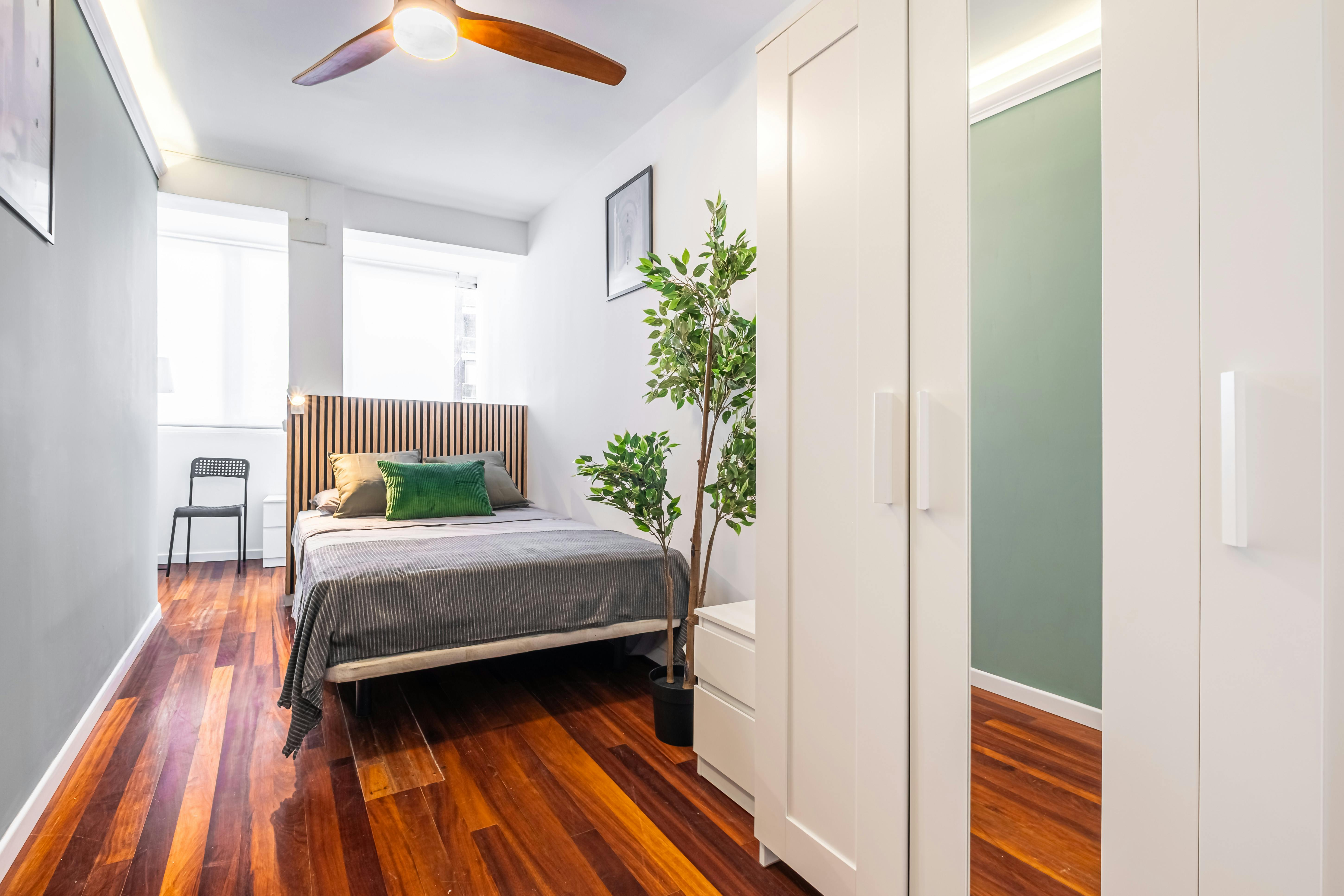 Rambla de Méndez Núñez, Alicante (Alacant) preview