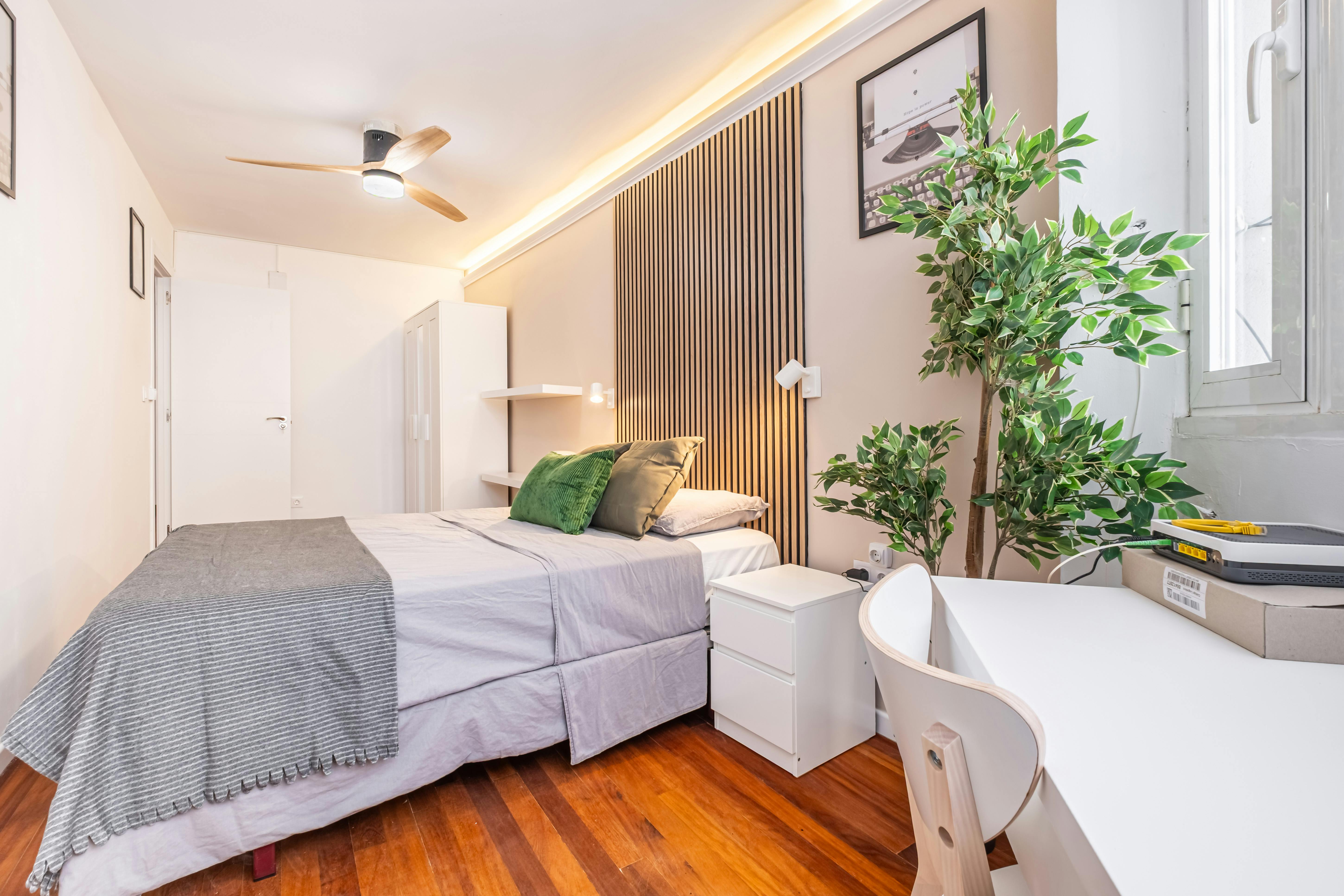 Rambla de Méndez Núñez, Alicante (Alacant) preview