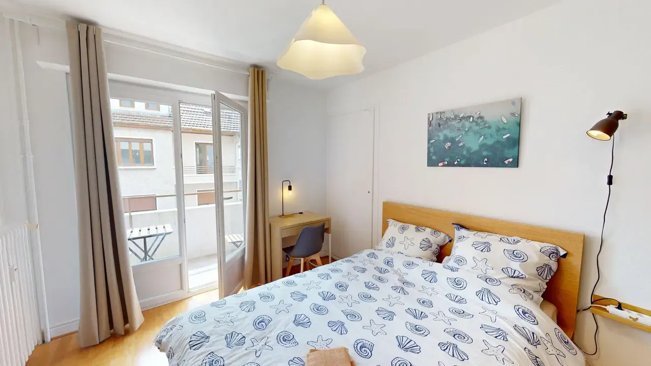 Private room in Rue du Docteur Coquand, Annemasse (1626264) ROOM 3