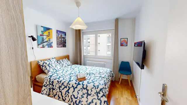 Private room in Rue du Docteur Coquand, Annemasse (1626266) room image 2
