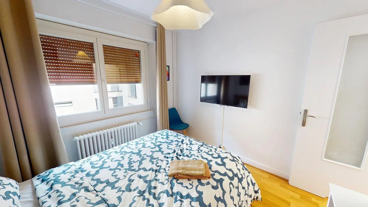 Private room in Rue du Docteur Coquand, Annemasse (1626266) room image 1