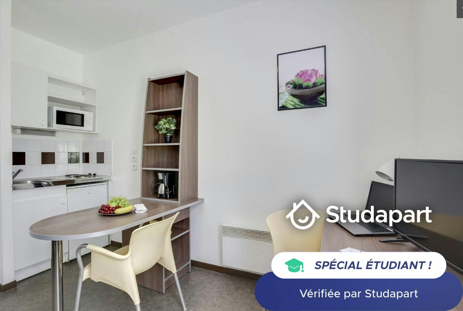 Private room for rent on Rue Artaud, Lyon - Vue 4