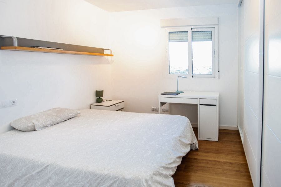 Carrer de l'Enginyer Vicent Pichó, Valencia preview