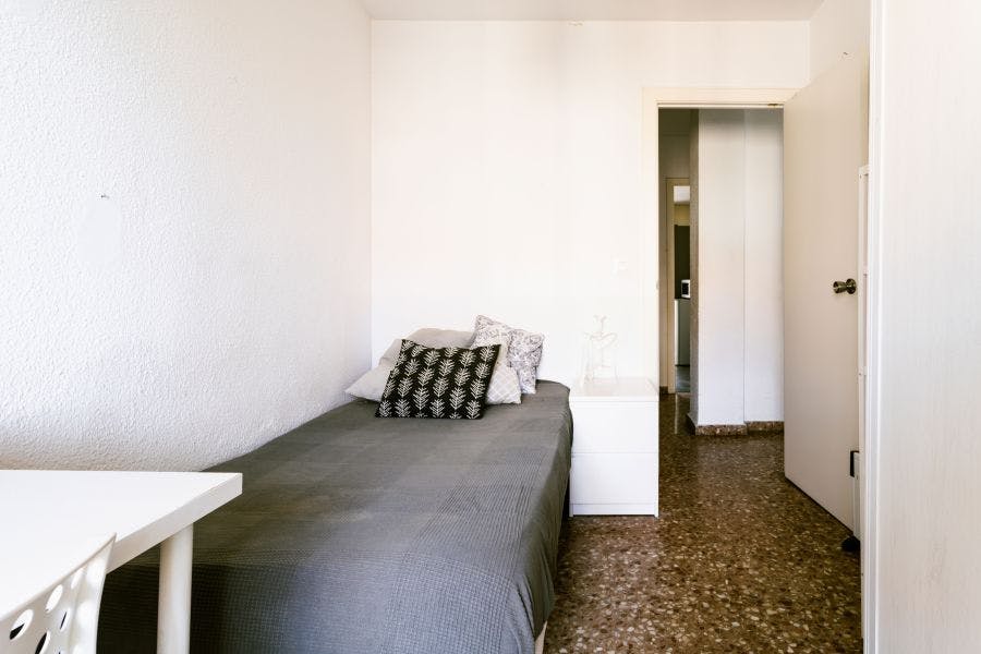 Carrer del Serpis, Valencia preview