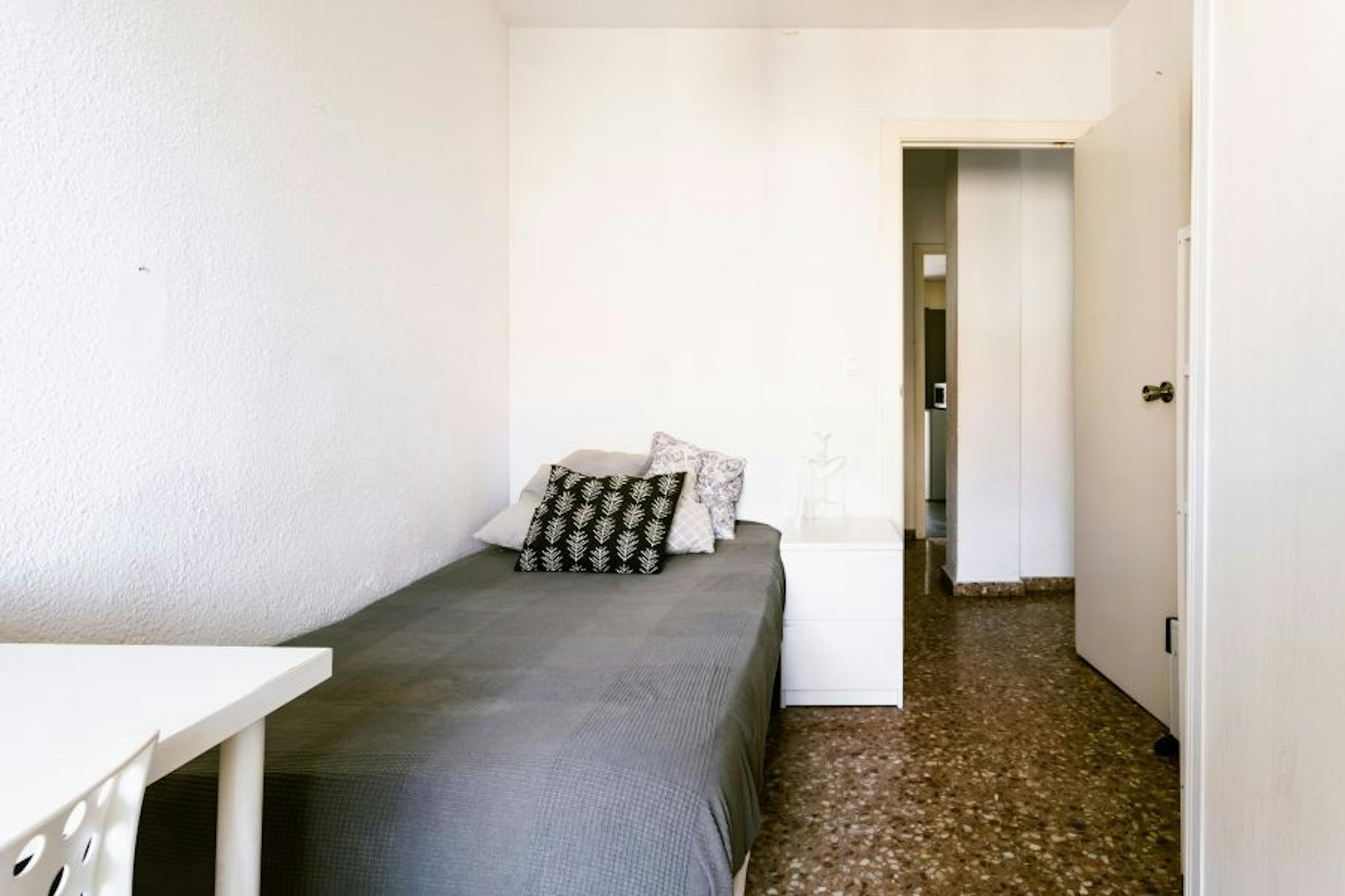 Carrer del Serpis, Valencia preview