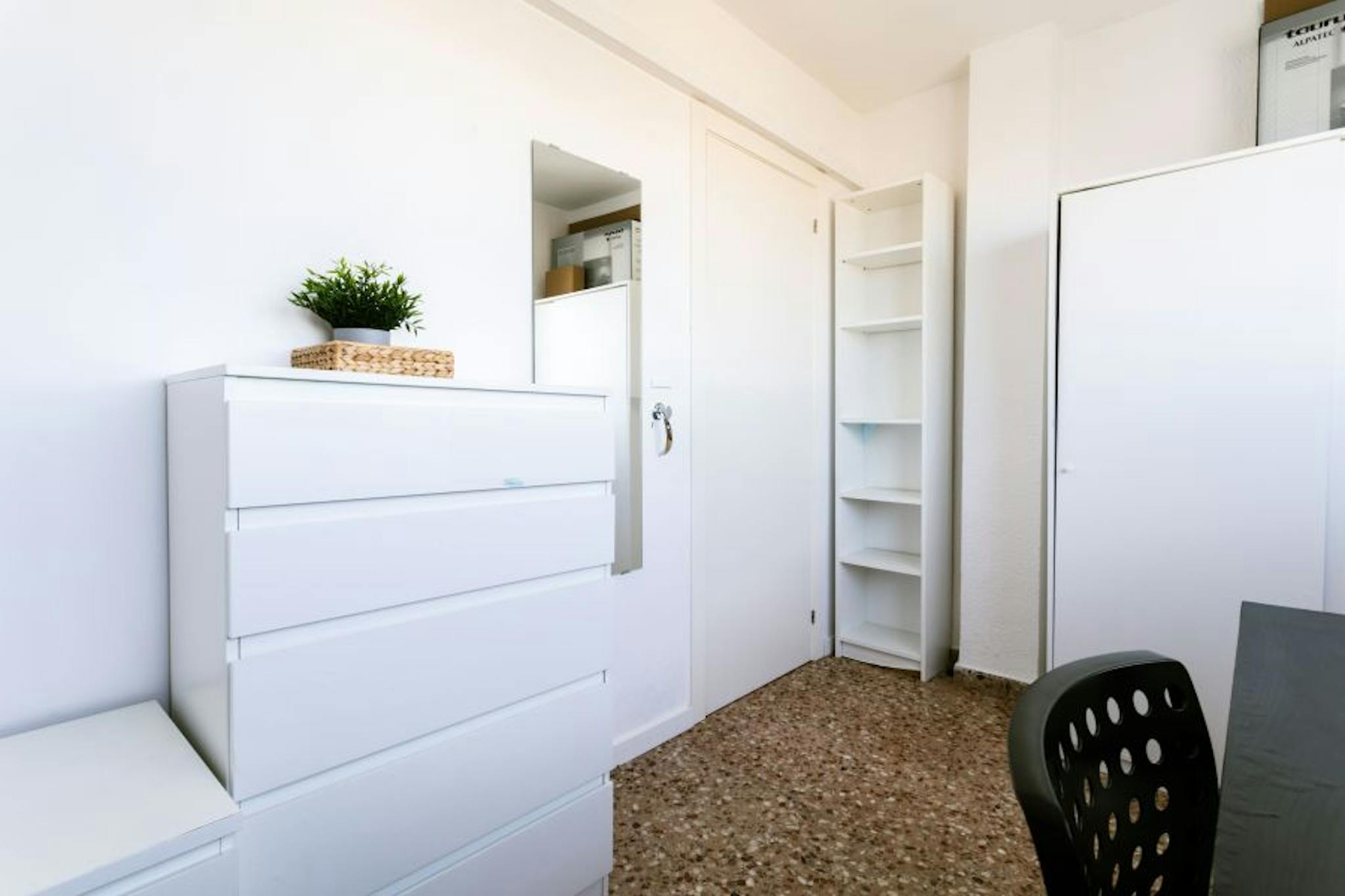 Carrer del Serpis, Valencia preview