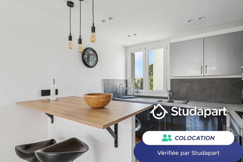 Private room for rent on Boulevard Romain Rolland, Marseille – pohled 5