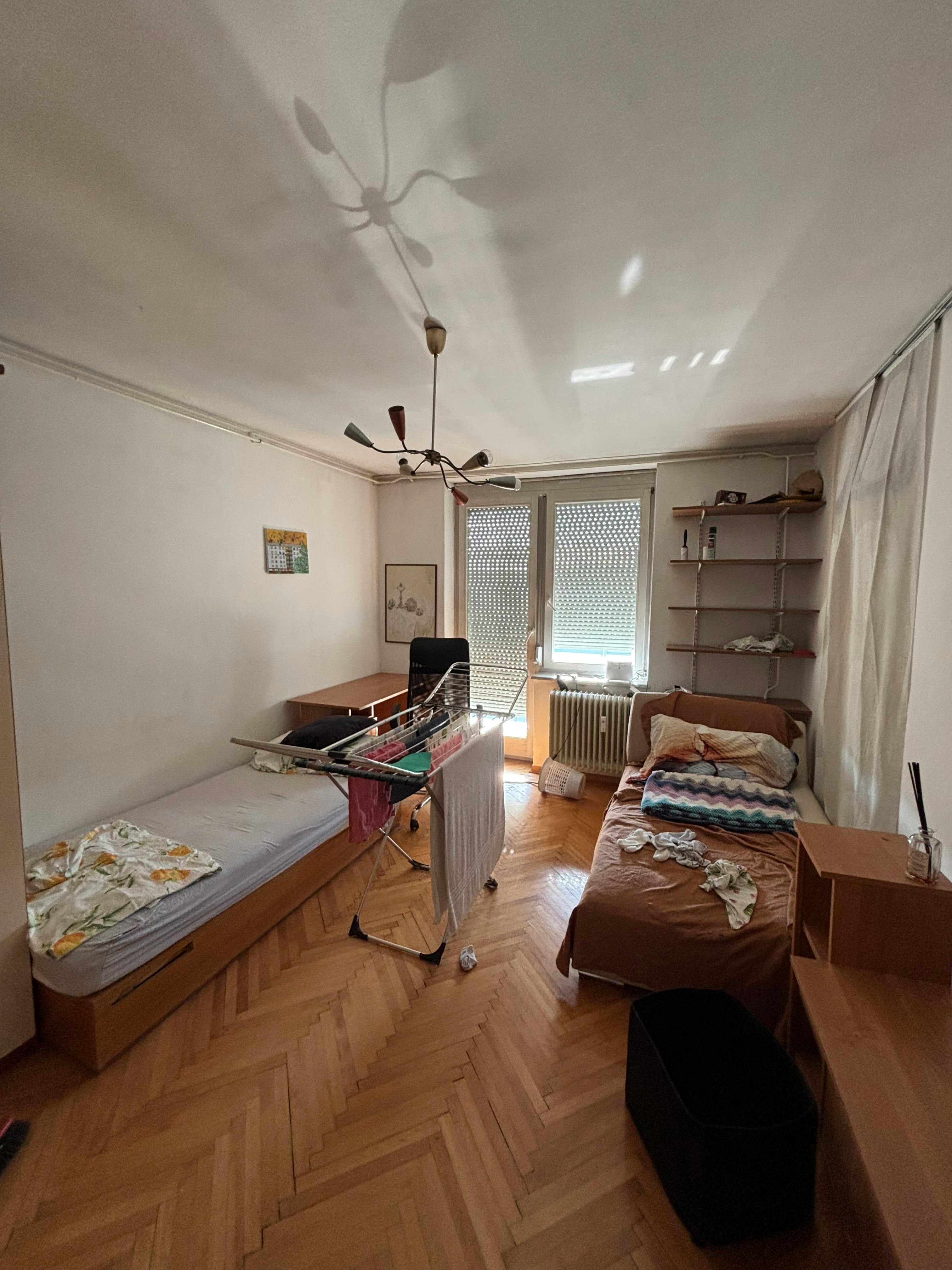 Viška cesta, Ljubljana preview