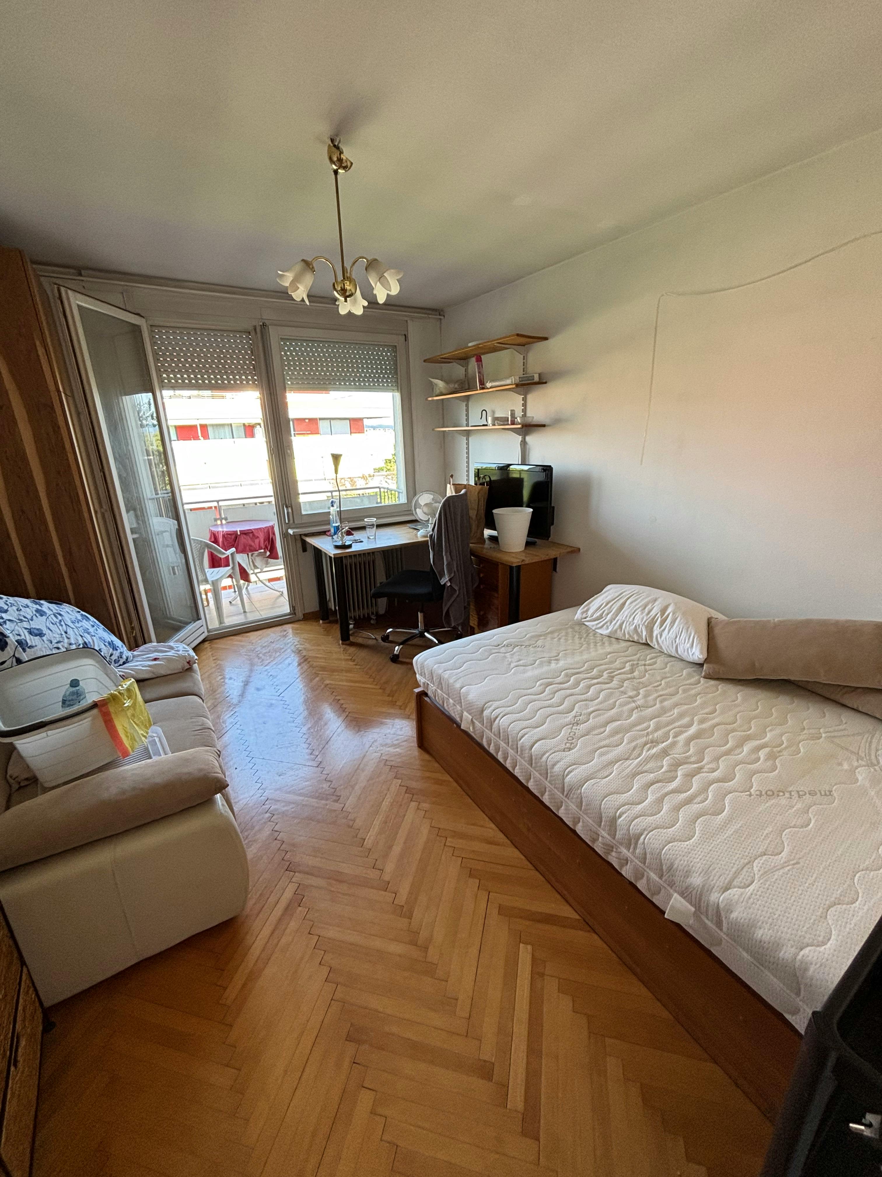 Viška cesta, Ljubljana preview