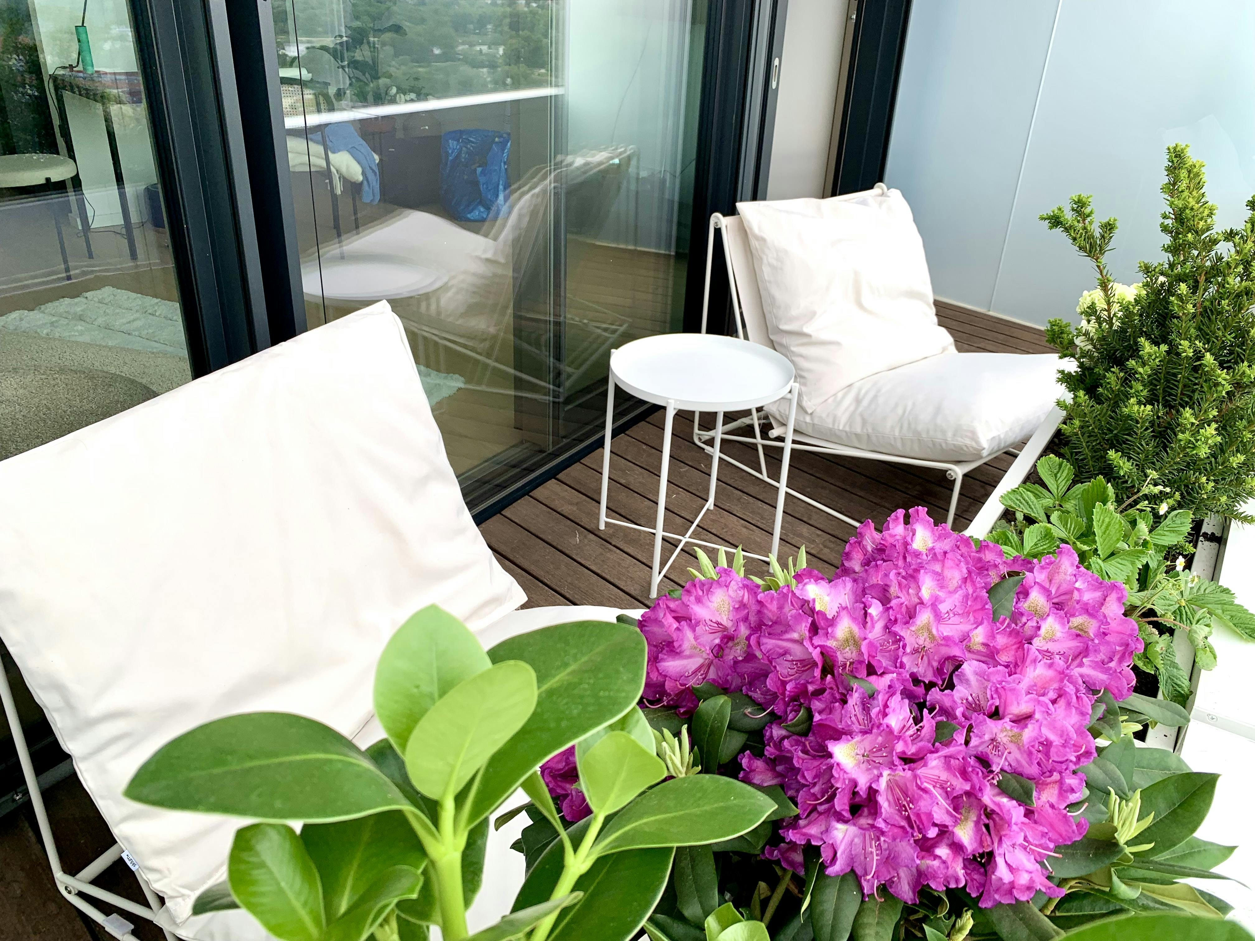 Wagramer Straße, Vienna preview