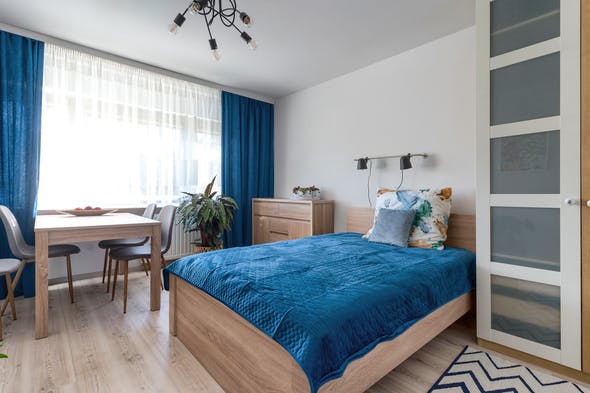 Jana Olbrachta, Warsaw preview