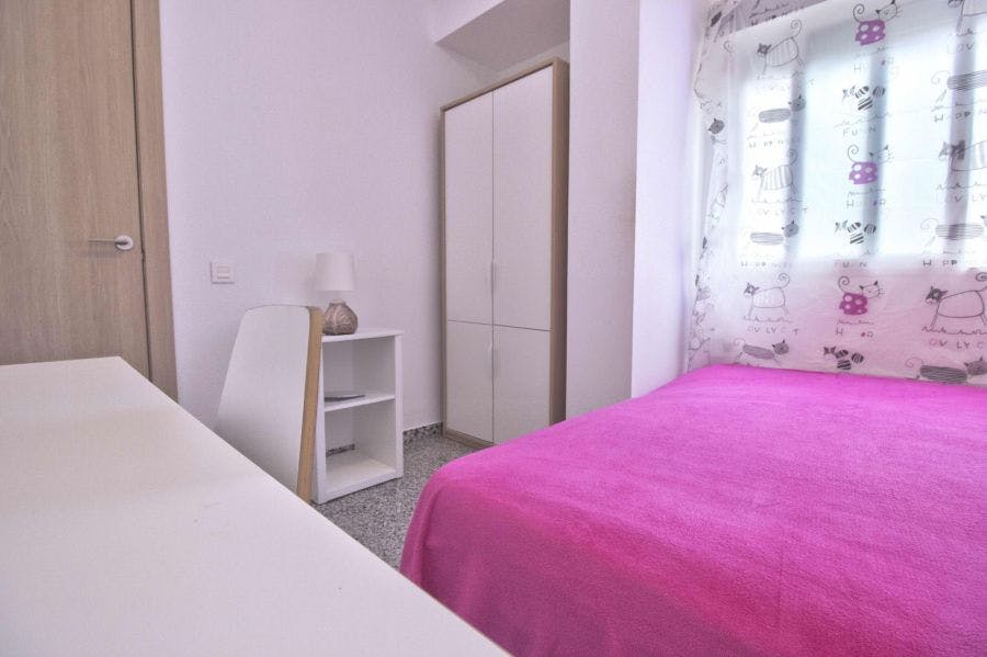 Carrer del Doctor Vicente Pallarés, Valencia preview