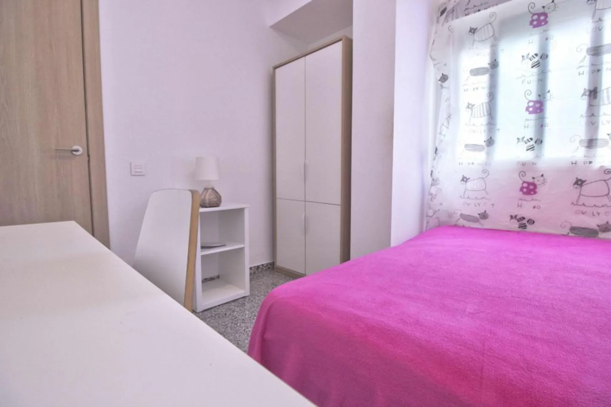 Carrer del Doctor Vicente Pallarés, Valencia preview