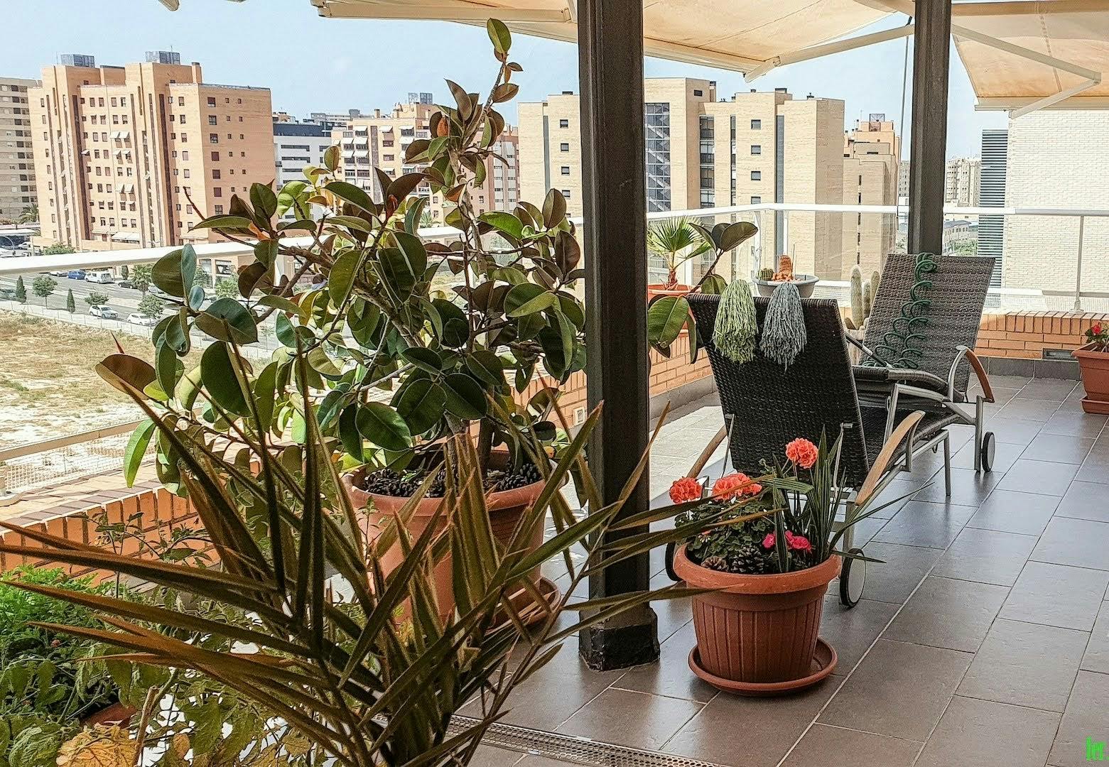 Private room for rent for €450 per month in Alicante, Carrer de la Periodista Asunción Valdés