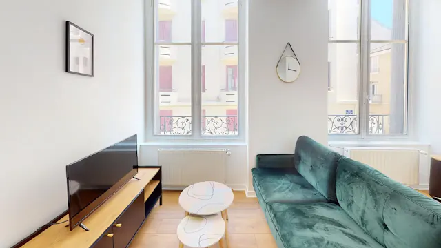 1-Bedroom Apartment in Rue Etienne Boisson, Saint-Étienne (1627938) room image 7
