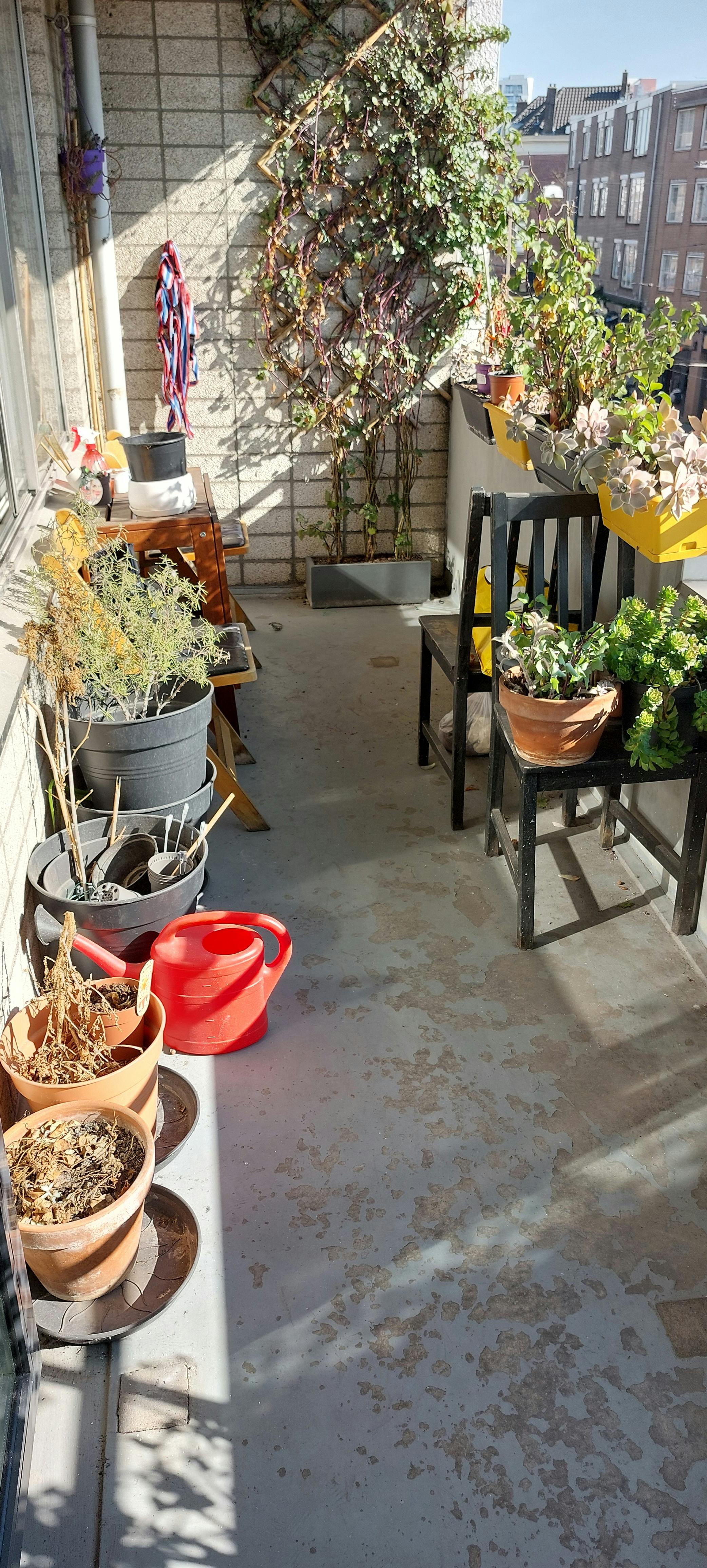 Apartment for rent for €1,800 per month in Rotterdam, Coolsestraat