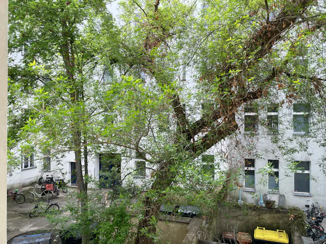 Private room in Thulestraße, Berlin (1628549) room image 60