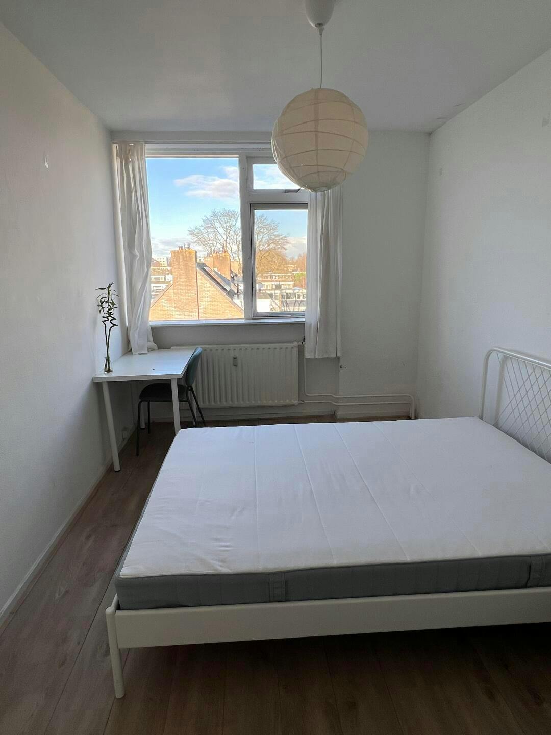 Private room in Vredeman de Vriesstraat, Rotterdam (1628639) ROOM