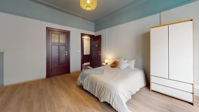 Private room in Rue Antoine Bréart, Saint-Gilles (1628937) room image 2