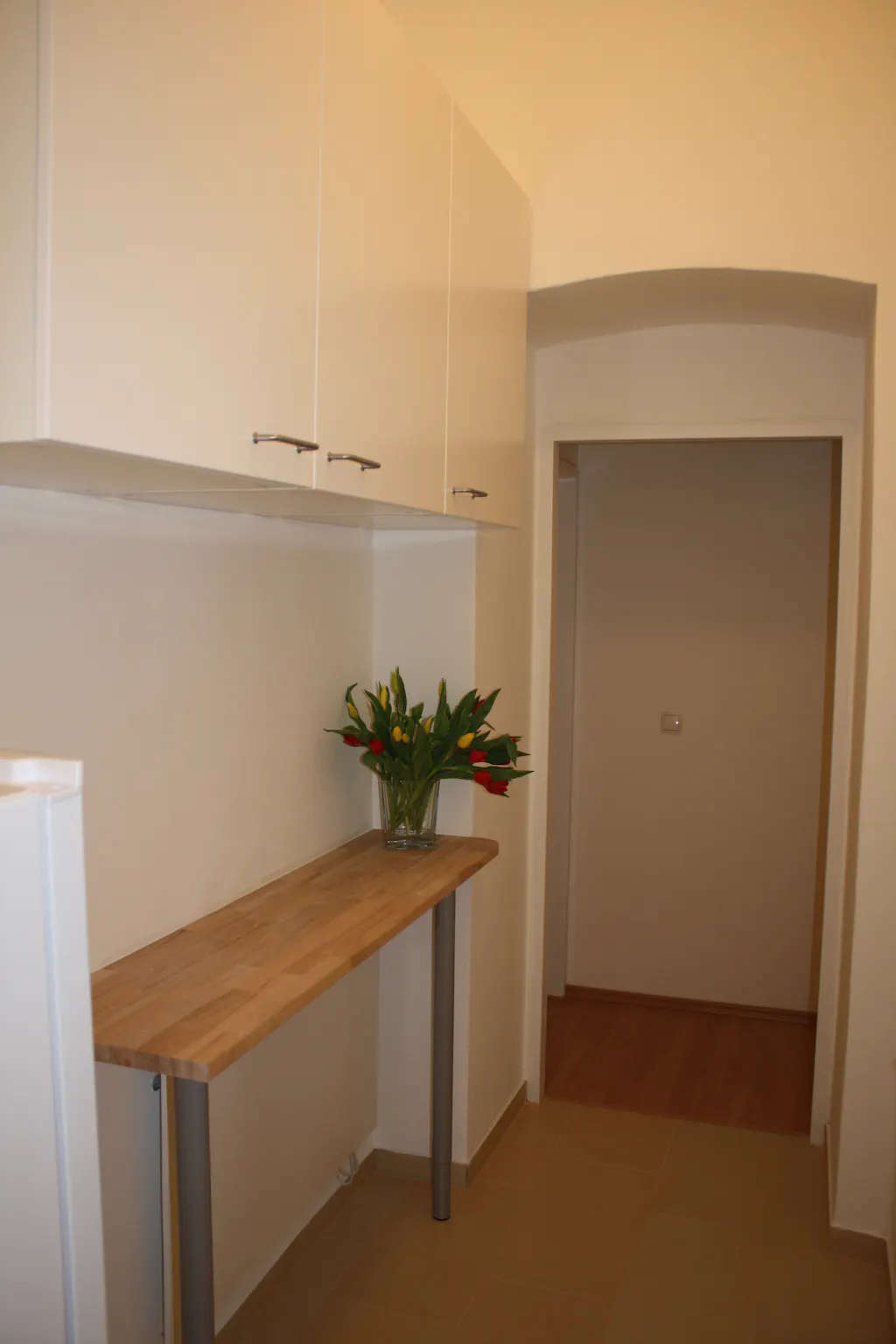 Arbeitergasse, Vienna preview