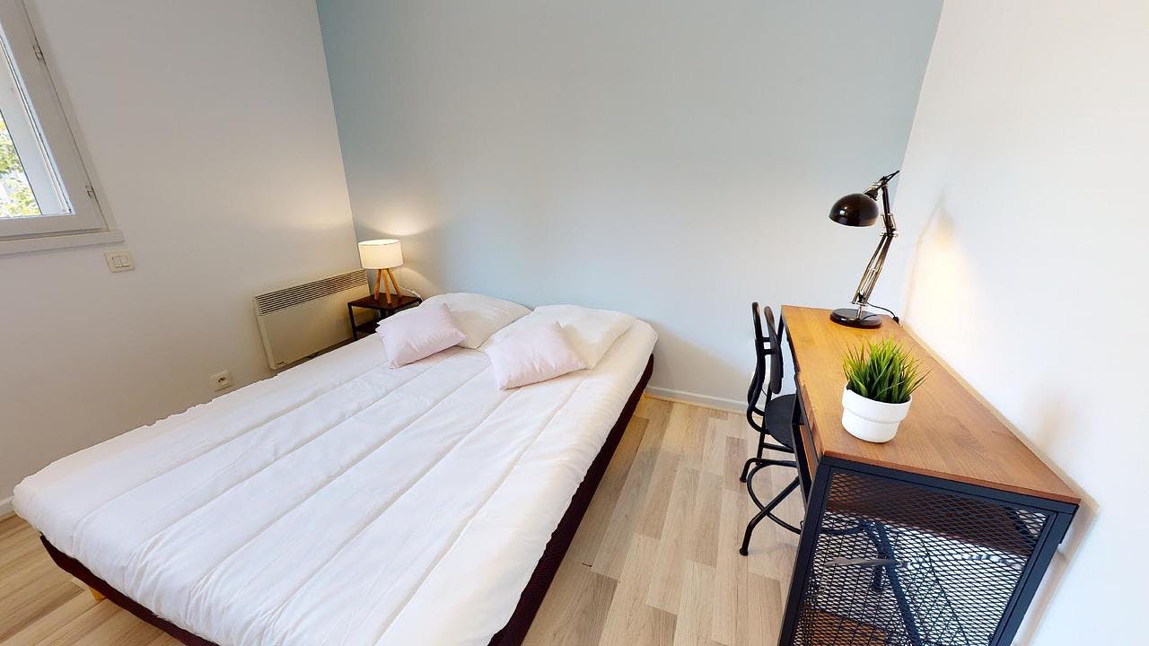 Private room for rent on Rue Garibaldi, Lyon - Widok 4