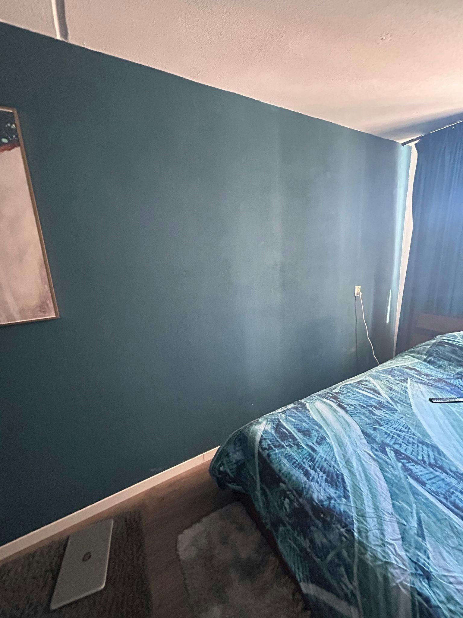 Single room Rotterdam, 1 bed, 8m² — photo 5