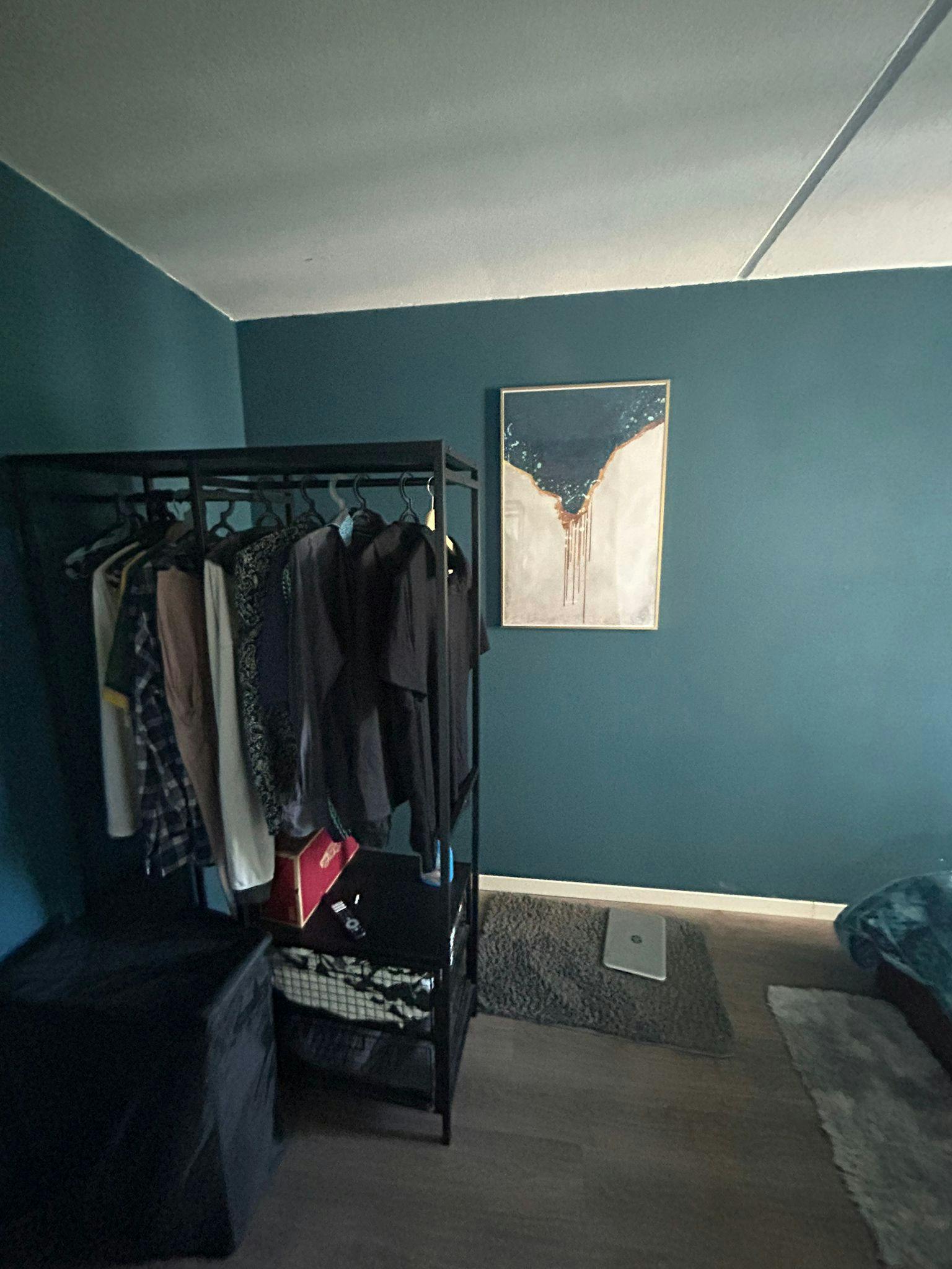 Single room Rotterdam, 1 bed, 8m² — photo 3