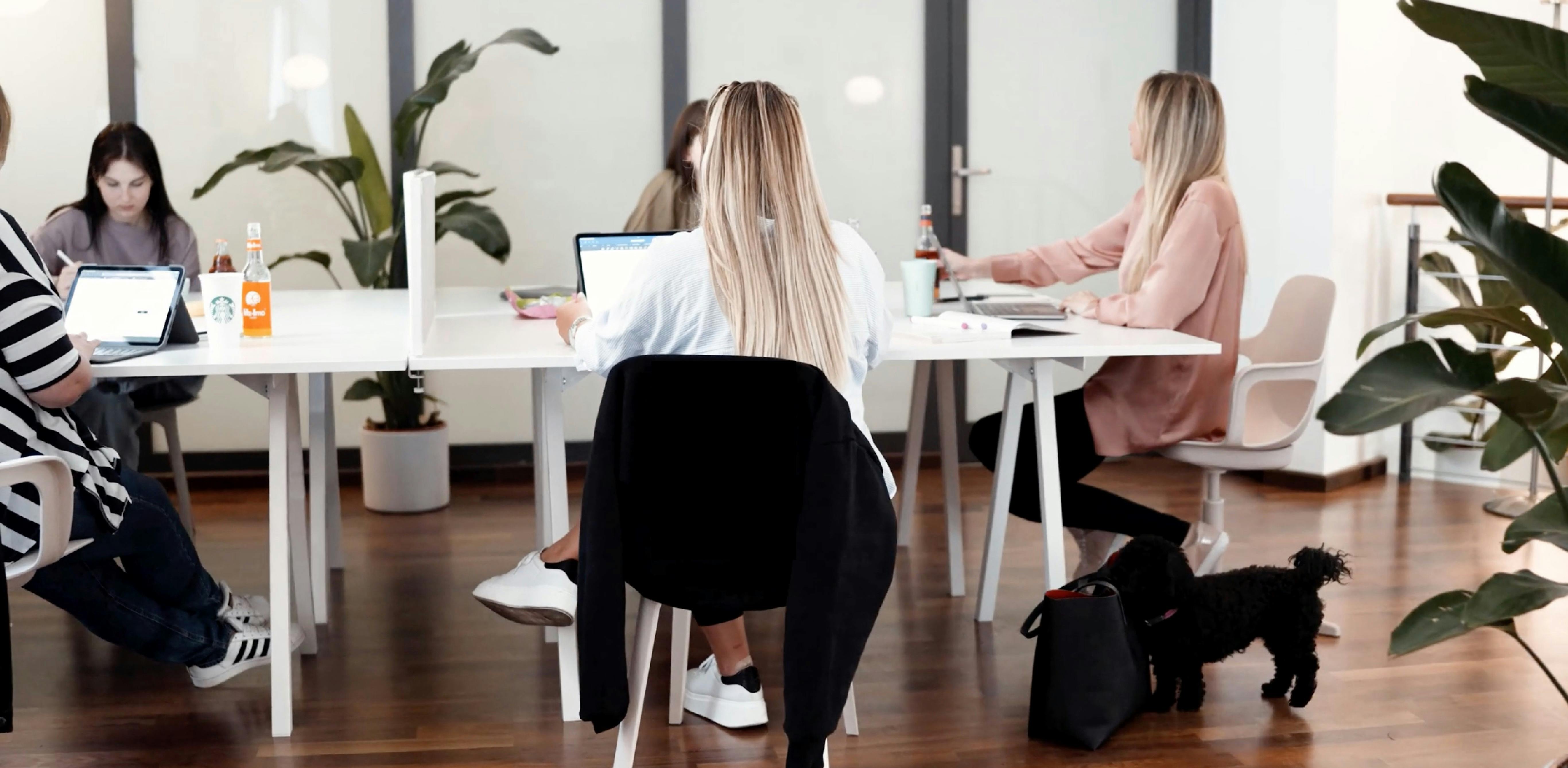 preview gallery tile