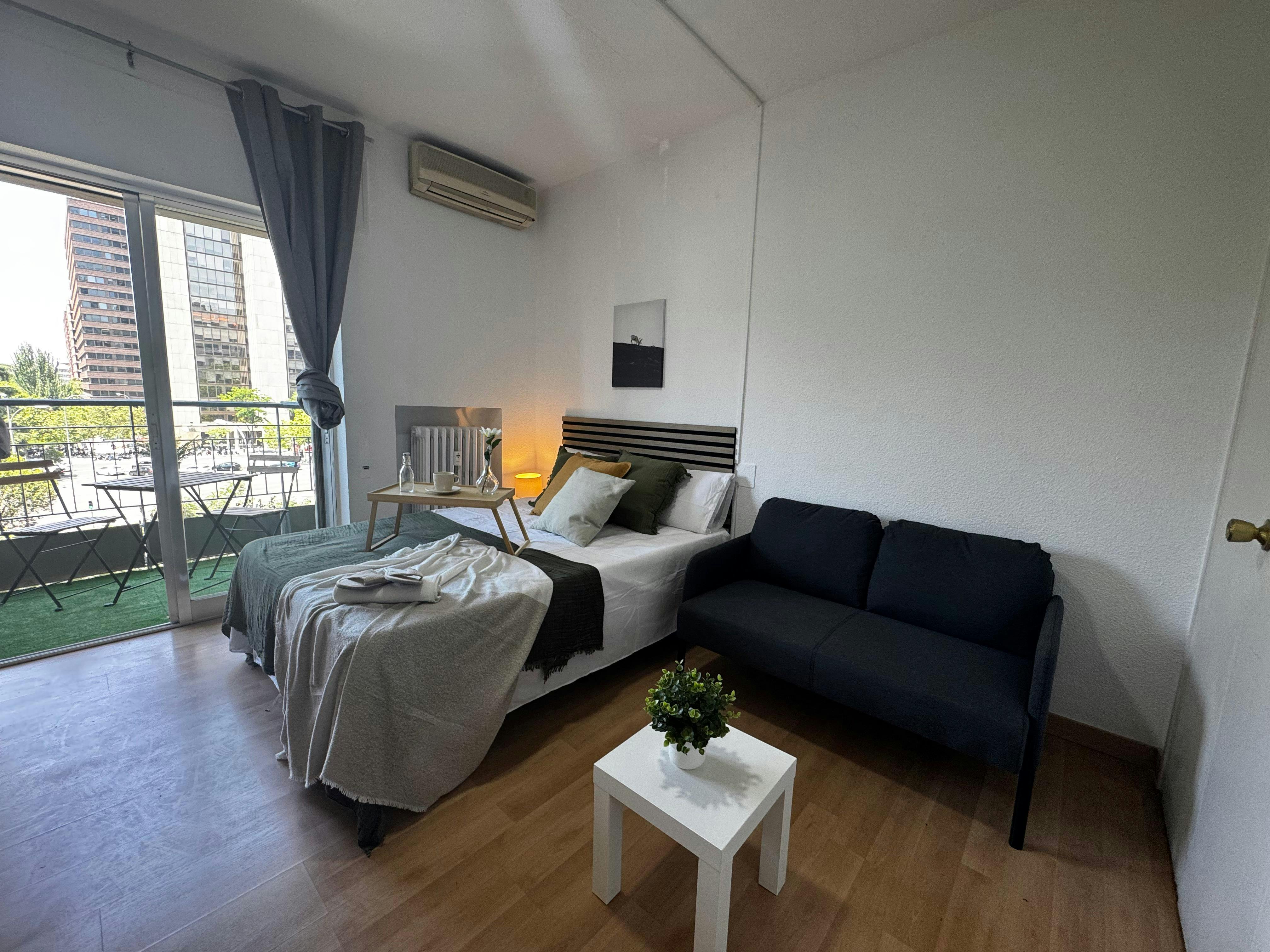 Paseo de la Castellana, Madrid preview