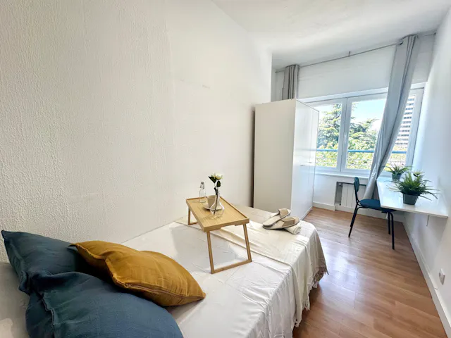 Private room in Paseo de la Castellana, Madrid (1629899) room image 4