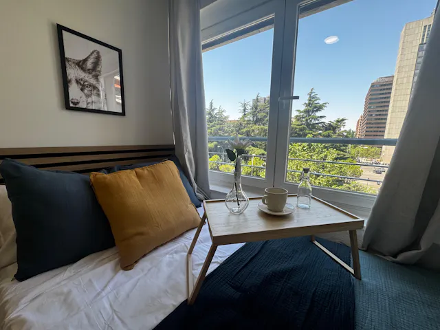 Private room in Paseo de la Castellana, Madrid (1629907) room image 28