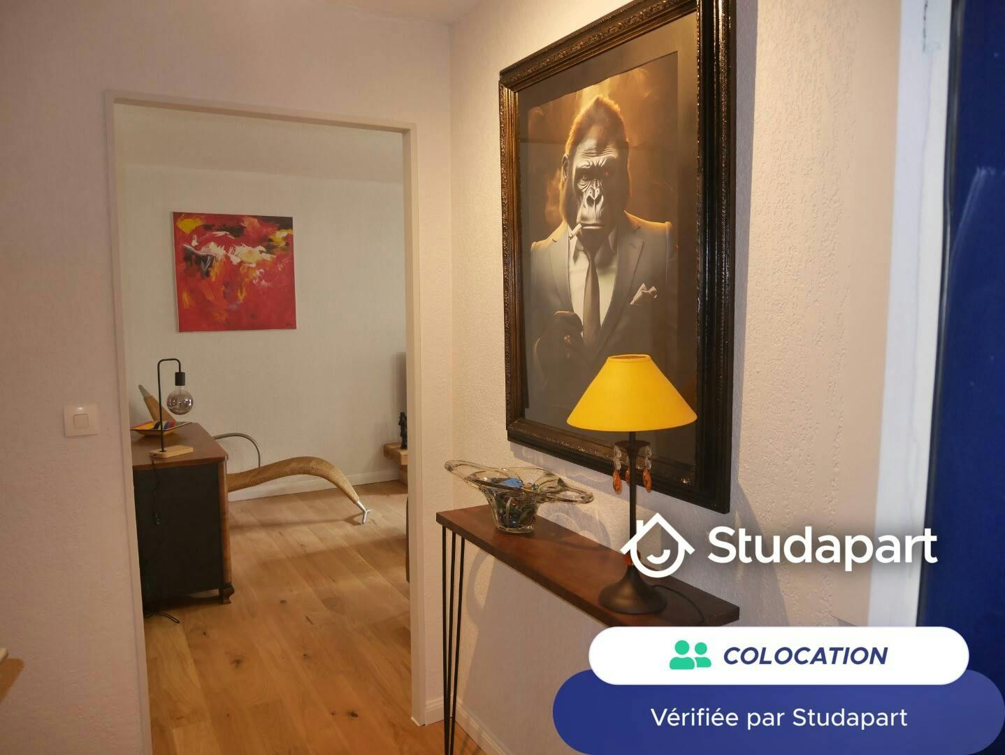 Private room for rent on Rue Bernard Mulé, Toulouse - Plus