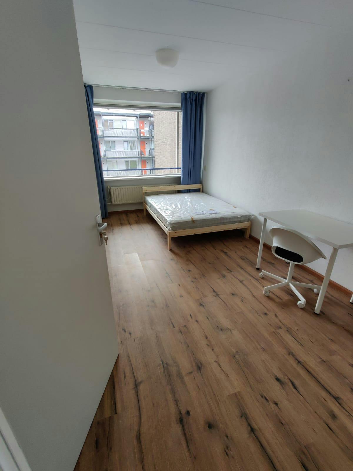 Studio in Rotterdam