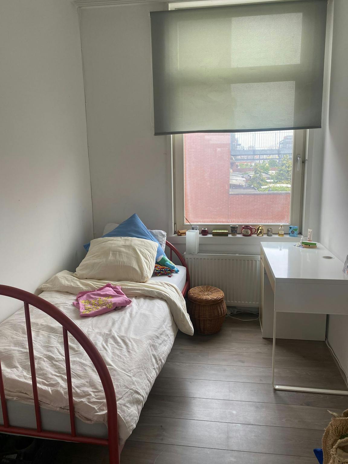 Westlandsestraat, The Hague preview