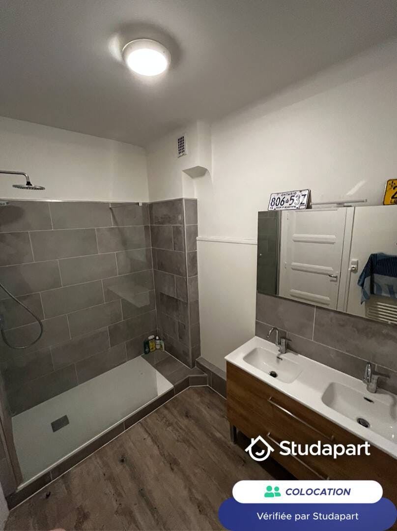 Private room for rent on Rue du Général de Miribel, Lyon - 6. nézet