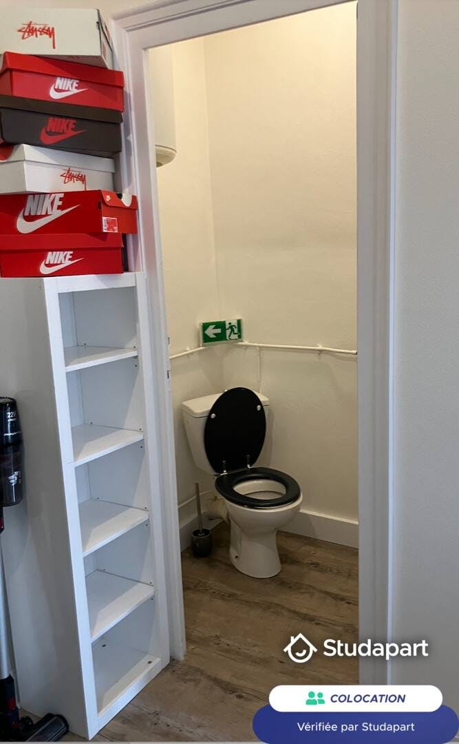 Private room for rent on Rue du Général de Miribel, Lyon - 4. nézet