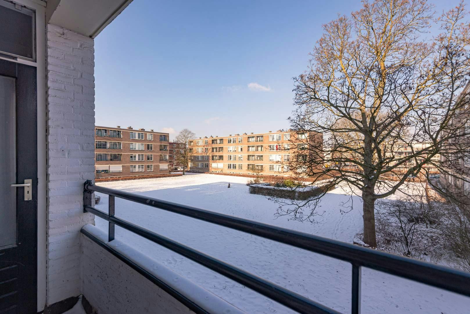 Single room Rotterdam, 1 bed, 7.5m² — photo 13