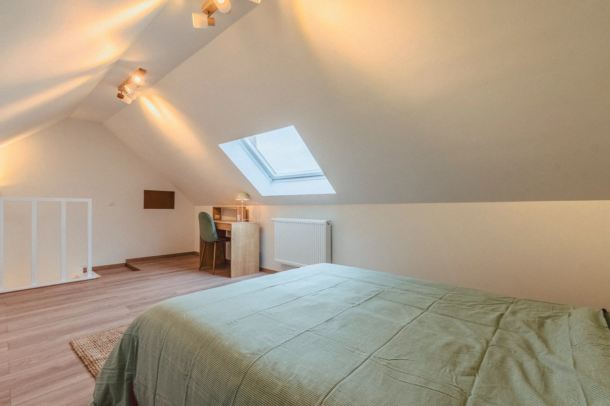 Private room in Avenue de la Couronne, Ixelles (1632483) ROOM 3