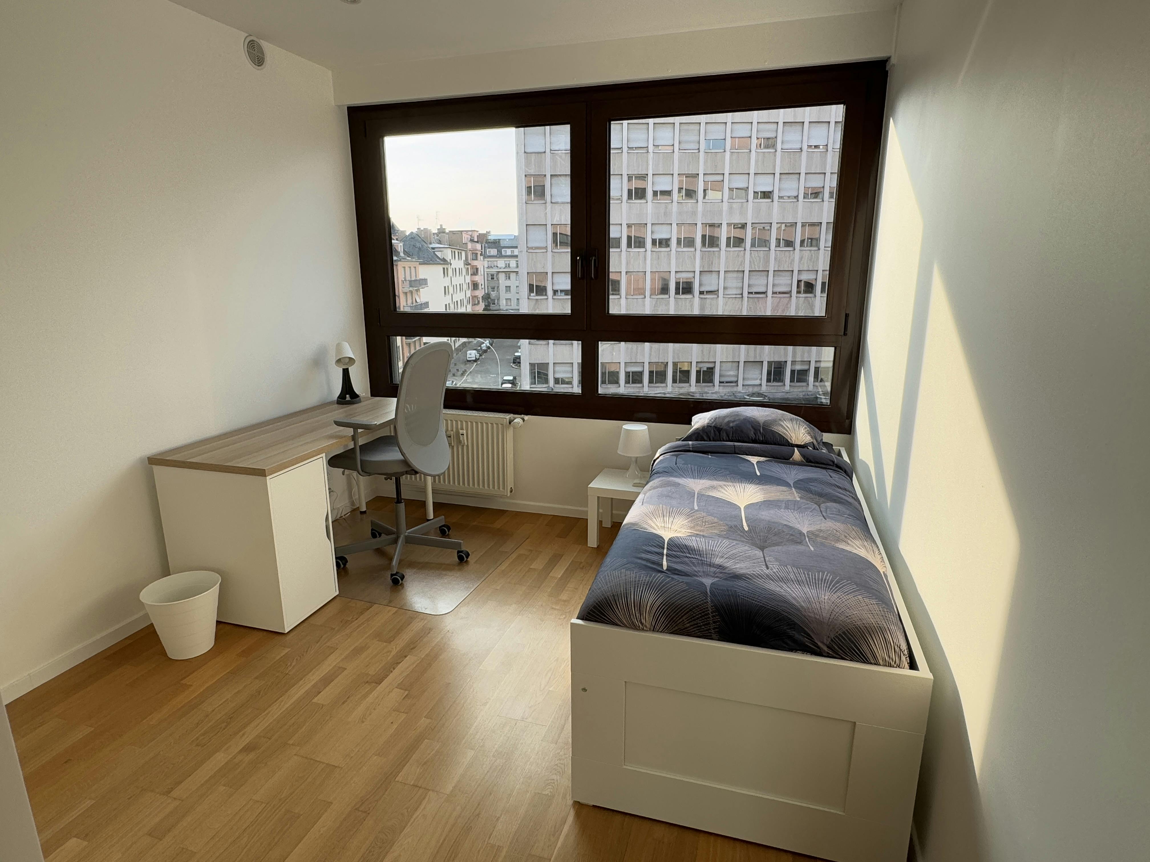 Private room for rent for €670 per month in Strasbourg, Rue de Lausanne