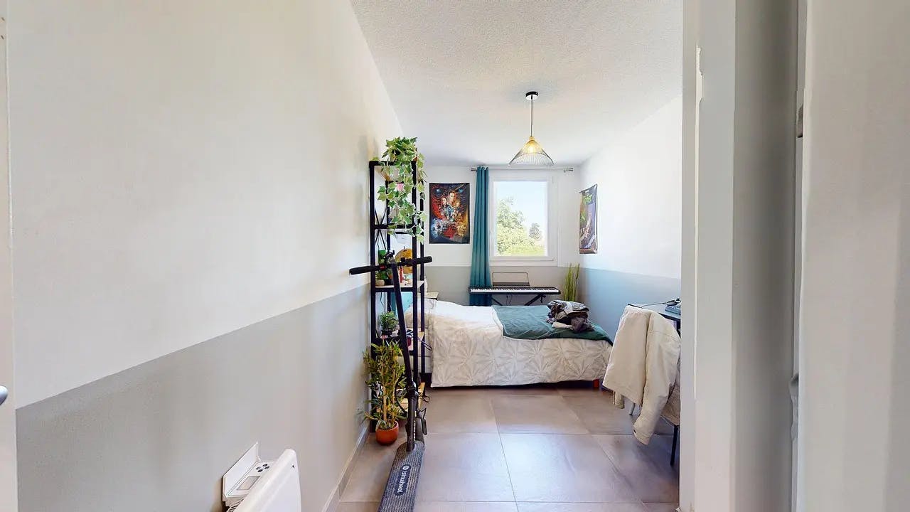 Rue des Hibiscus, Montpellier preview