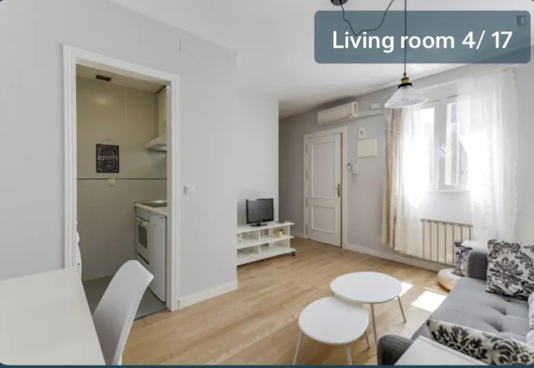 1-Bedroom Apartment in Calle del Reloj, Madrid (1633233) ROOM 4